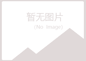 新华区盼夏能源有限公司